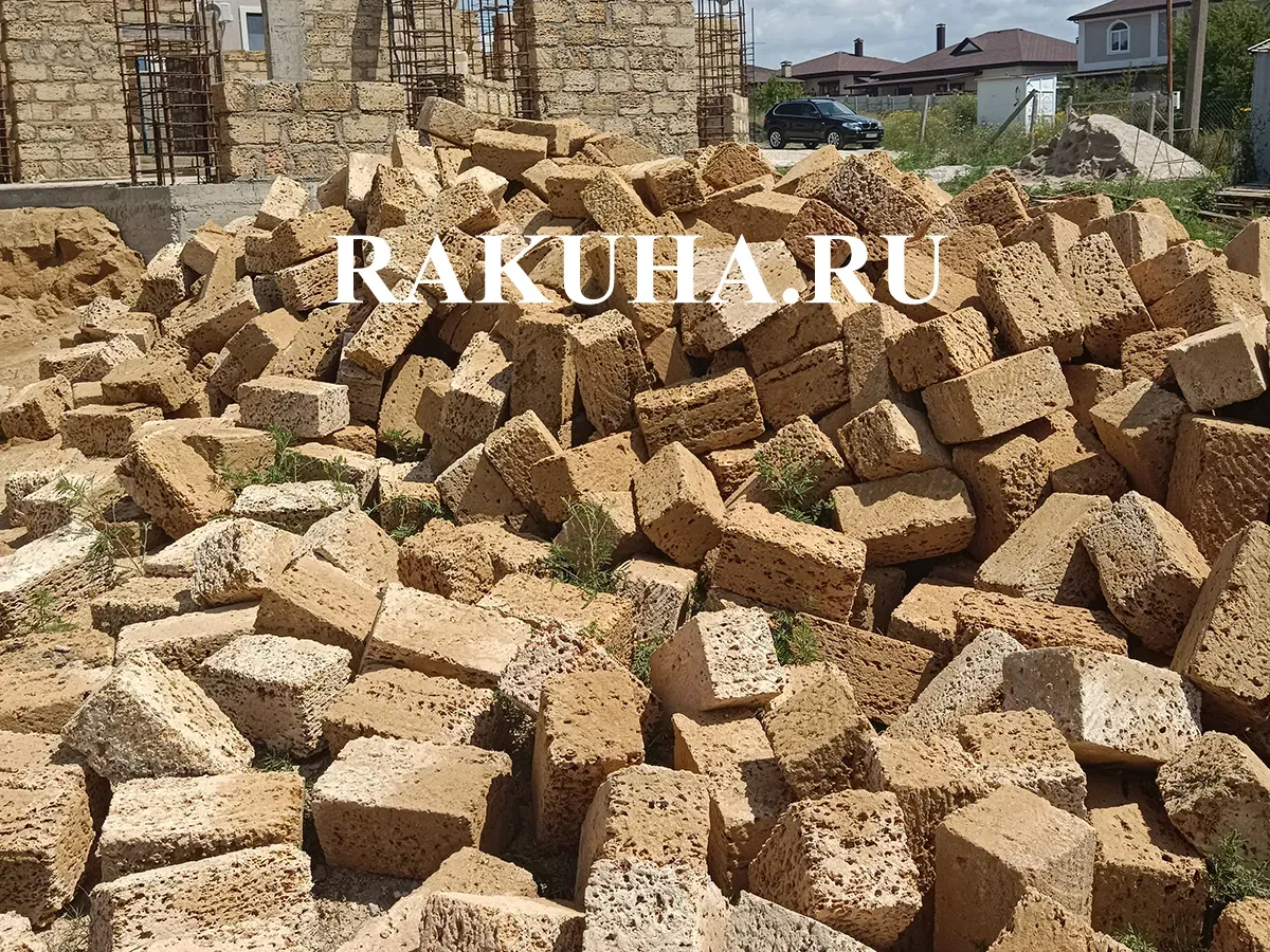 Ракушка с доставкой
