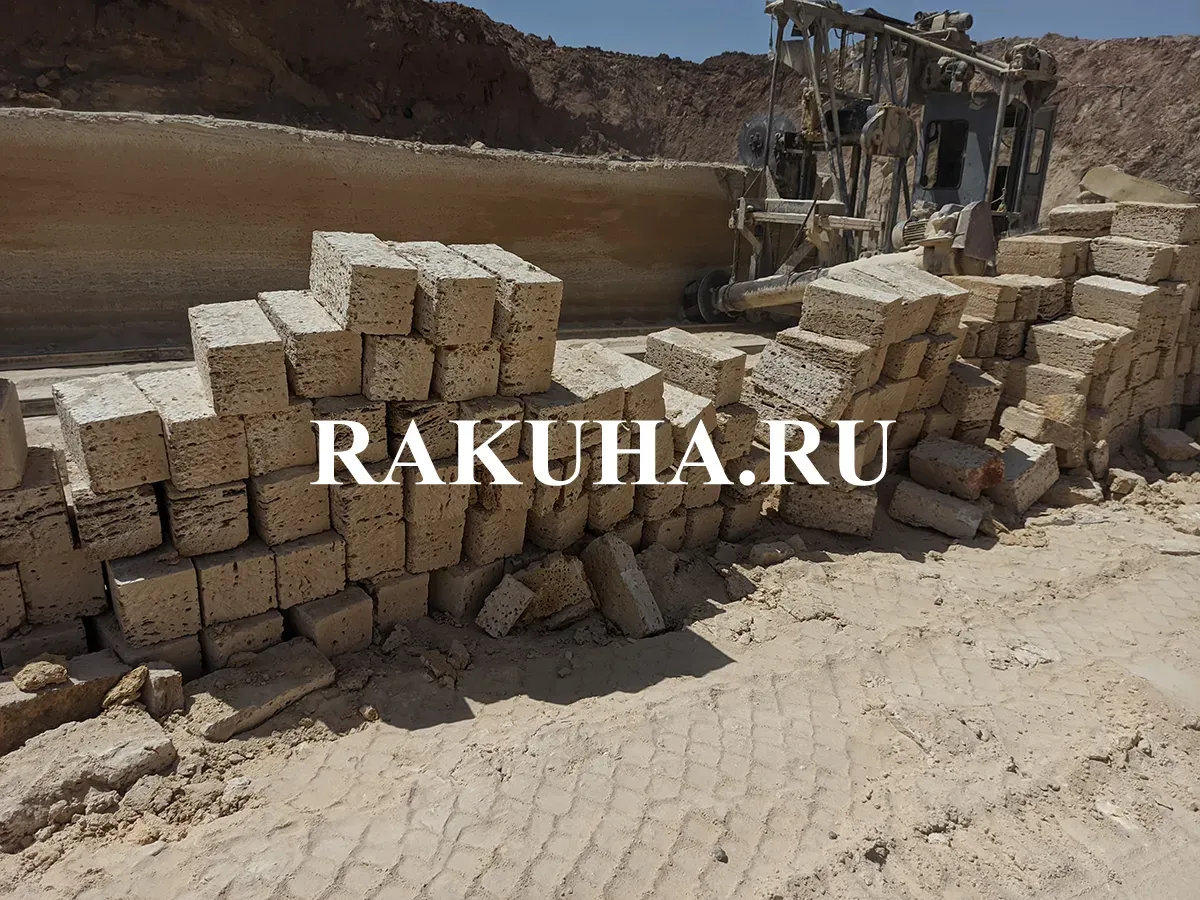Заказать ракушку на карьере